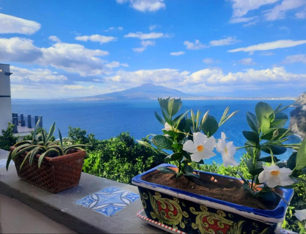 Dimora Del Conte Sorrento Coast Seaview Apartment Вико Екуензе Екстериор снимка