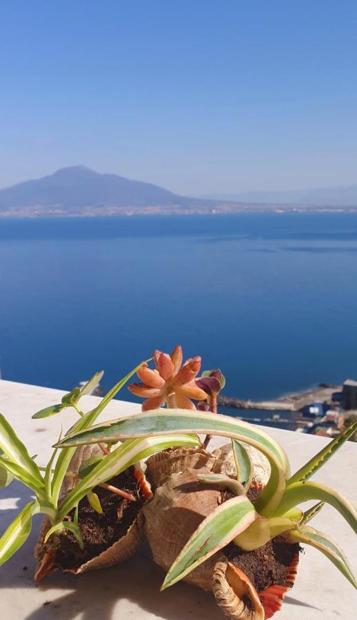 Dimora Del Conte Sorrento Coast Seaview Apartment Вико Екуензе Екстериор снимка